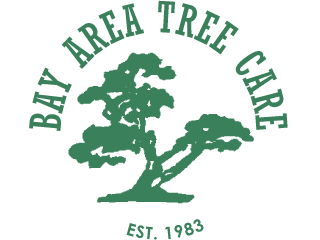 Bay Area Tree Care